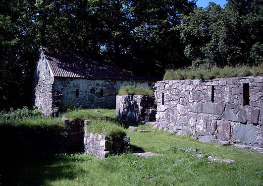 The ruins of Halsnøy abbey
