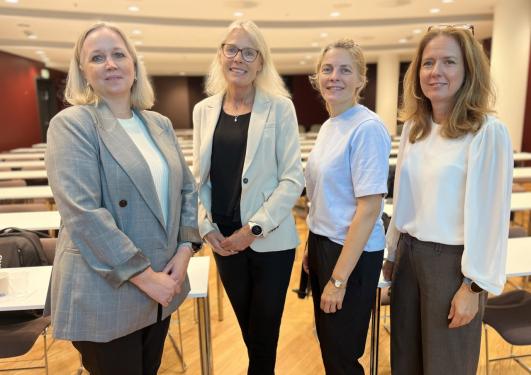 Bildet viser fire representanter fra henholdsvis FHI, Novo Nordisk, PraksisNett og LMI