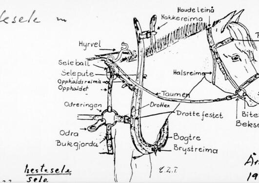Tegning av en hest med terminologi for seletøy. Bilde fra Språksamlingane.