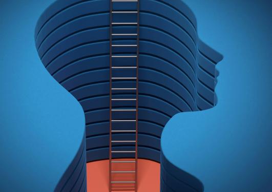 Modell av hode med stige til hjernen