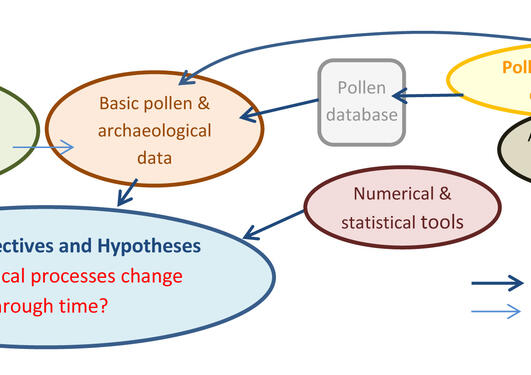 Flow diagram of the major components of the HOPE proposal