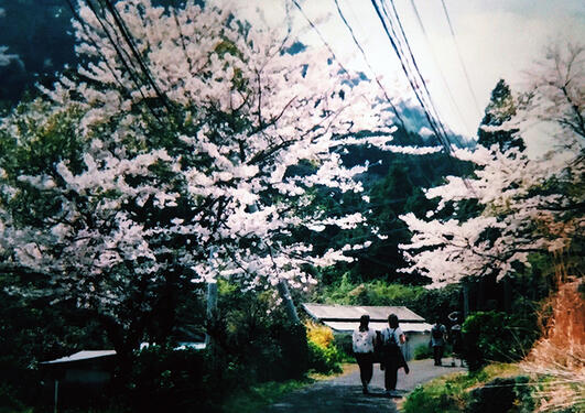 Beppu, Japan