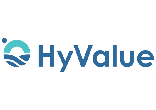 HyValue logo