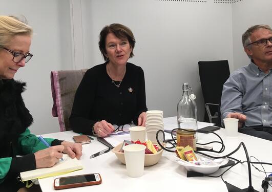 Director Lise Øvreås from Ocean Sustainability Bergen flanked by her University of Bergen colleagues Karin Pittman (left) and Anders Goksøyr during the first meeting of the IAU SDG14 Team.