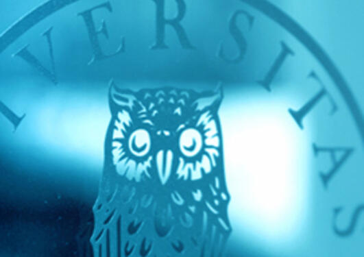 illustrasjonsfoto av UiB logo