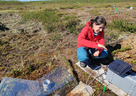 Inge Althuizen measuring carbon fluxes in northern Norway 
