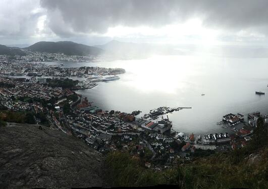 Bergen view