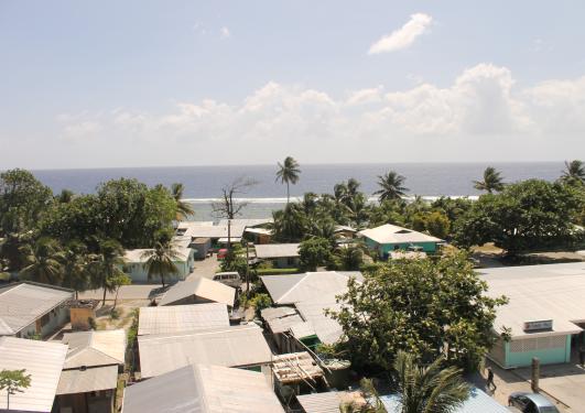 House roofs and trees next to a beach