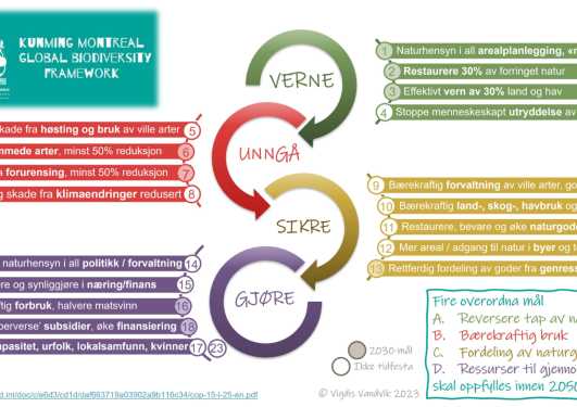 Oppsummering av naturavtalen av professor Vigdis Vandvik, leder for Senter for bærekraftig arealbruk