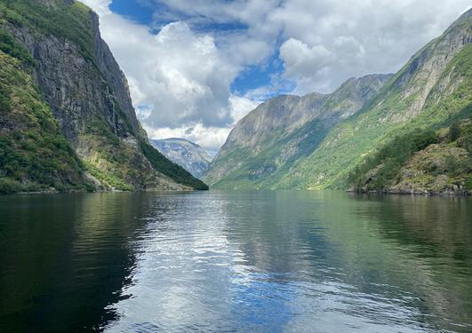 bilder av fjord og fjell