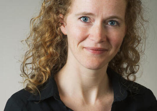Professor Julie Riise