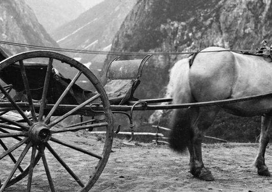 Hest og kjerre i Sogn og Fjordane i 1888