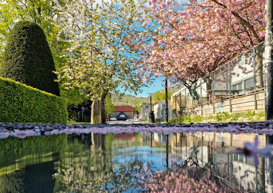 Spring in Bergen