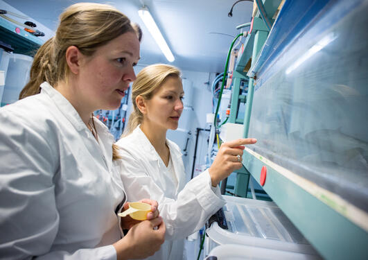 EVALUATED: Aina-Cathrine Øvergård and Anna Zofia Komisarczuk is two of the researchers at the Sea Lice Reseach Centre in Bergen. After a midway evaluation the centre gets the green light to continue their work. 