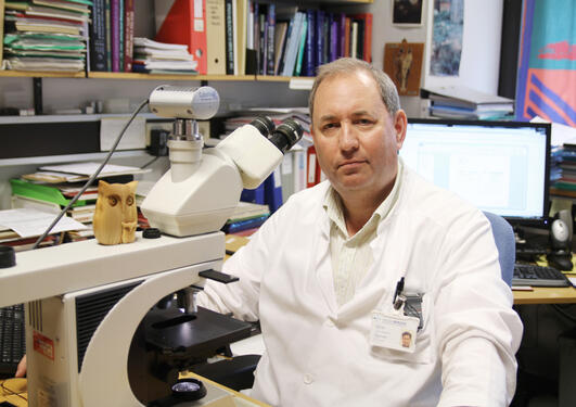 Professor Lars A. Akslen, Centre for Cancer Biomarkers (CCBIO), University of Bergen (UiB).