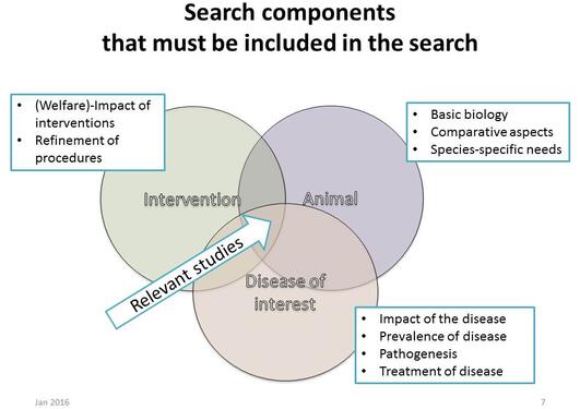 literature search for animal experiments