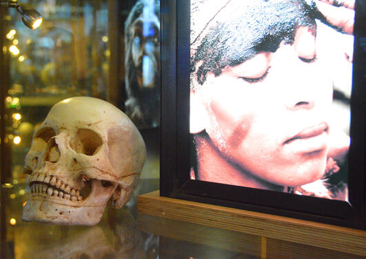 Image from the de hoop exhibition showing insights into the lifestyles and behaviours of early humans. 
