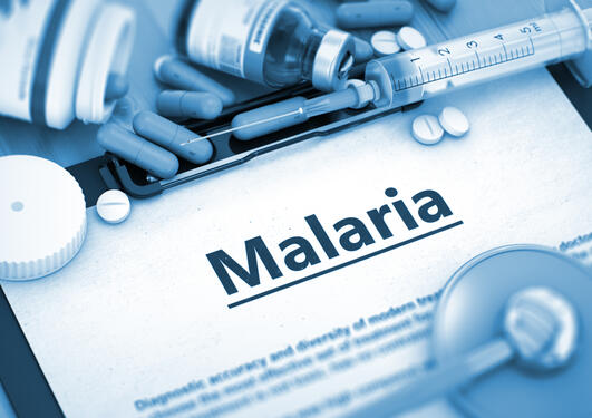 Malaria og medisin