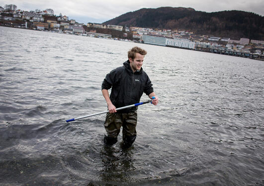 Student doing research in the ocean