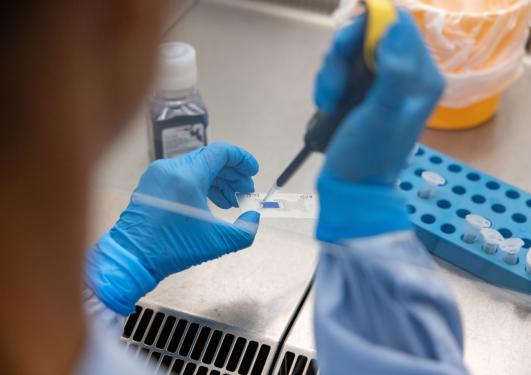 illustrasjonsbilde biomedisin