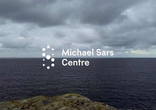 A view of the sea with the " Michael Sars Centre" logo in the middle