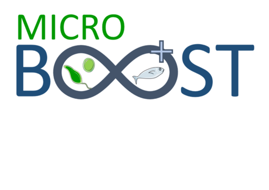 Logo MicroBoost