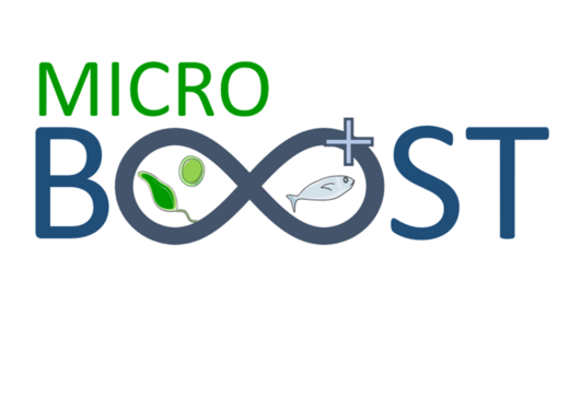 MicroBoost logo project