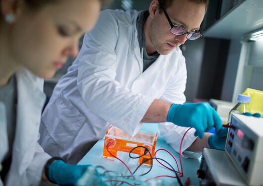 To phd-studenter jobber med noe på labben. de er konsentrerte, i hvite frakker. 