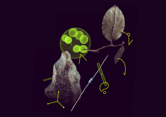 Abstrakt illustrasjon hentet fra MSCA