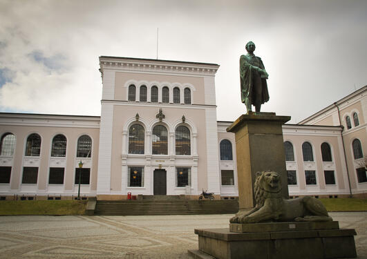 Foto av universitetsmuseets fasade