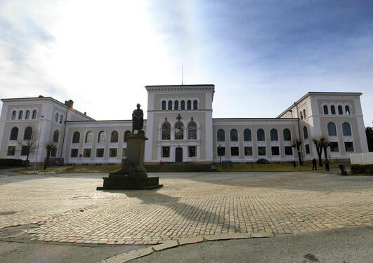 Universitetsmuseet i Bergen