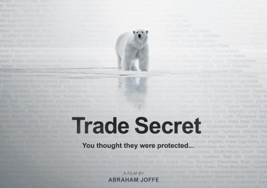 Trade Secrets