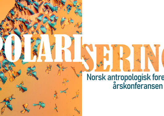 Logo NAF-konferansen 2021