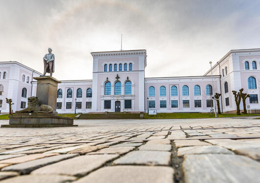 Universitetsmuseet i Bergen