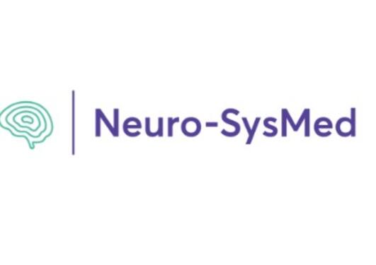 Logo for project Neuro-SysMed - figure and text