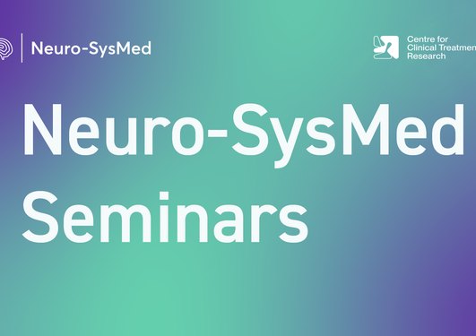 Logo for Neuro-SysMed Annual Seminars