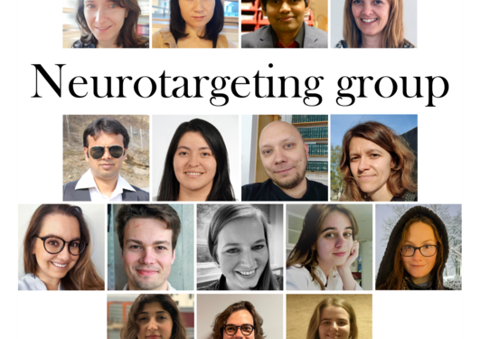 neurotargetinggroup2023_4a.png