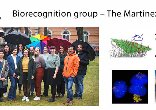 Biorecogniotion group, February 2023