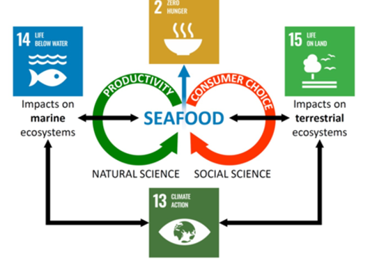 Illustration: How to produce more food while reducing overall footprint