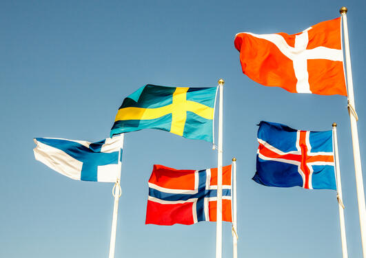 Skandinaviske flagg