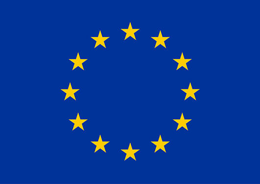 The EU Flag