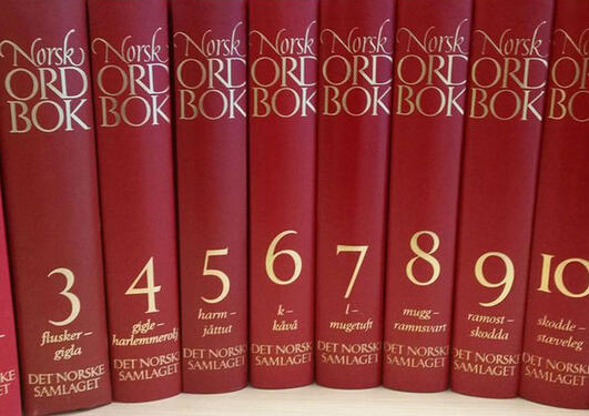 Norsk Ordbok 12 bind