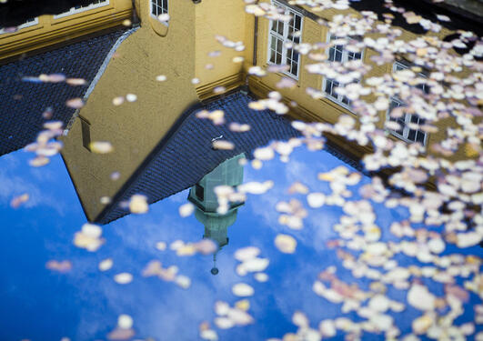 Bilde fra Sydneshaugen skole