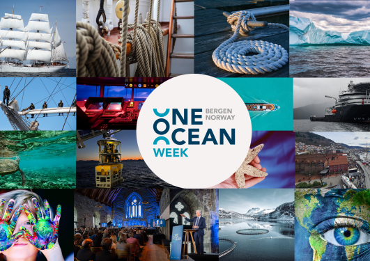 Bildemontasje for One Ocean Week, med flere havrelaterte bilder