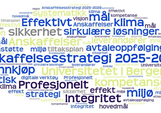 ordsky med nøkkelord om temaet anskaffelsesstrategi