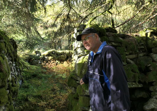 Man standing next to old dry stone walls in a forest.