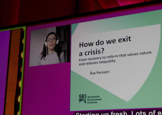 Reearch Director Åsa Persson from the Stockholm Environment Institute speaking at the opening of Day Zero at the 2021 SDG Conference Bergen.