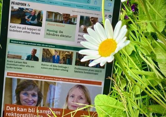 Bilde av På høyden