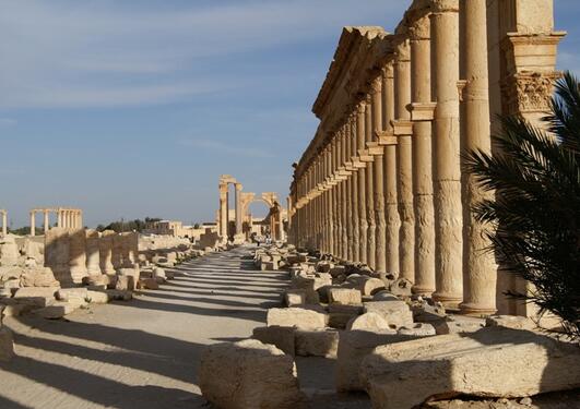 Palmyra