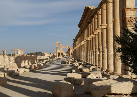 Bilde av Palmyra